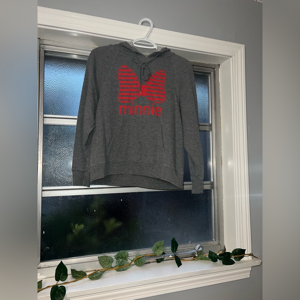 Minnie mouse sweatshirt